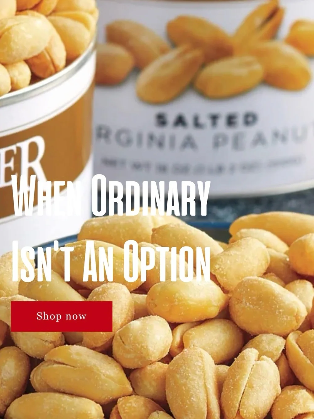 9 oz Can Salted Virginia Peanuts